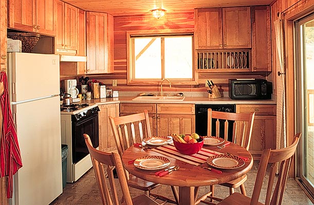 new_kitchen_big